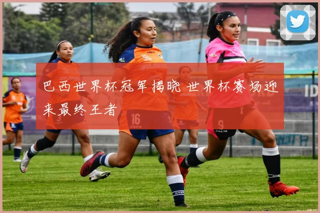 巴西世界杯冠军揭晓 世界杯赛场迎来最终王者